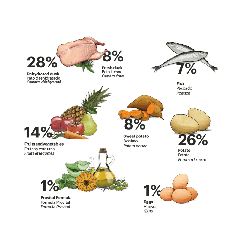 Exclusive Grain Free Dog Adult Medium Duck